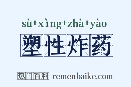 塑性炸药是什么意思的图片
